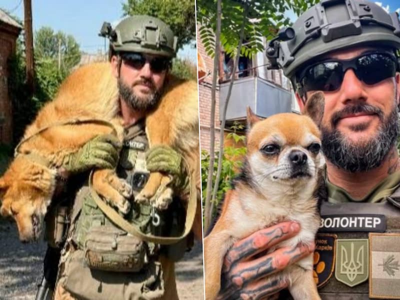 Zijn busje zat vol geredde honden en katten, maar kamikazedrone kende geen genade: held Jesse (40) brengt ultieme offer aan Oekraïense front