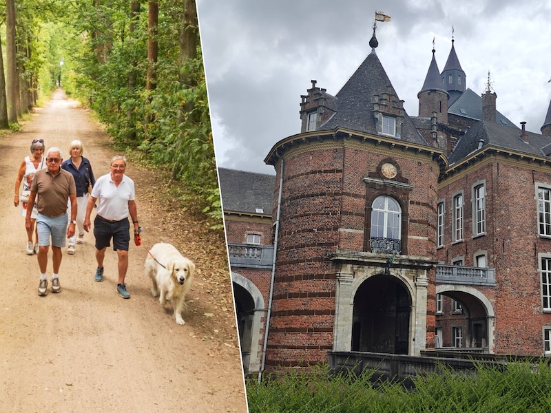 Westerlo krijgt vier wandelroutes in Landschapspark de Merode: “Dit is een echte wandelgemeente”
