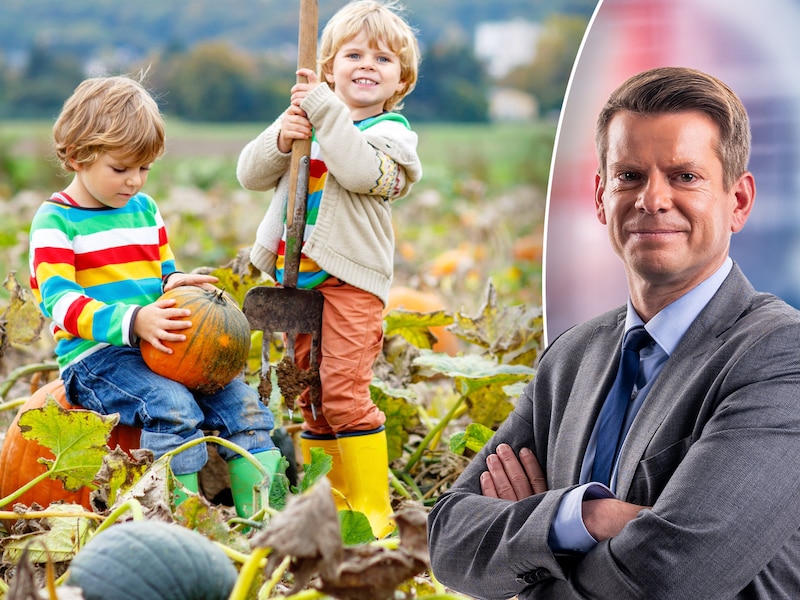 Herfstvakantie belooft zonnig en droog te worden: “We krijgen nauwelijks neerslag”