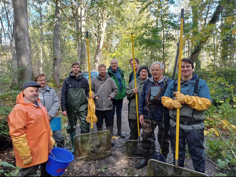 Beekprik dreigt te verdwijnen uit de Munsterbeek