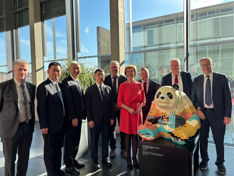 Dit beeld van een panda kan je vanaf vandaag bewonderen in het Provinciehuis in Leuven.