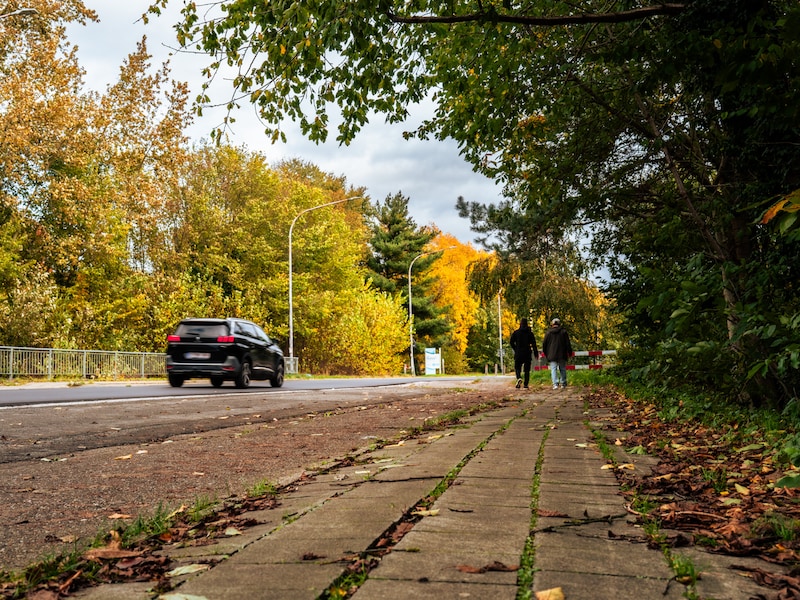 Stad pakt stoepen en fietspaden in Rik Van Looylaan aan