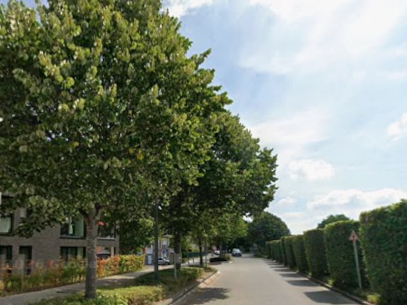 Leuvensevest en Koningin Astridlaan in Lier krijgen meer bomen en groen