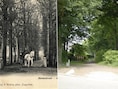 Het pad tussen de Borgeindstraat en Deurnevoetweg is al te zien op een postkaart uit 1909 