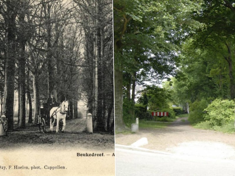 Schoten zet belangrijke stap voor historisch pad: “Deze dreef in ere herstellen”