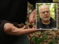“Als je aan één knop draait, heeft dat zware gevolgen”: hoe 7 ton beukennootjes het risico op de ziekte van Lyme drastisch vergroot