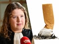 Dieven filmen hun eigen inbraken in tuinhuizen in Zuid-West-Vlaanderen: “Ik ben een brave huisvader”