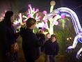DINO NIGHTS brengt vijftig dinosaurussen naar ZOO Planckendael: “We brengen de prehistorie op een magische manier opnieuw tot leven”