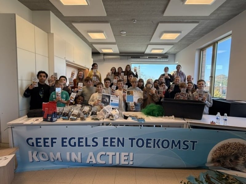 Leerlingen leren over de bedreigde egel om het dier te kunnen helpen