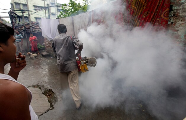 Insecticiden inzetten helpt maar matig tegen de verspreiding van dengue.
