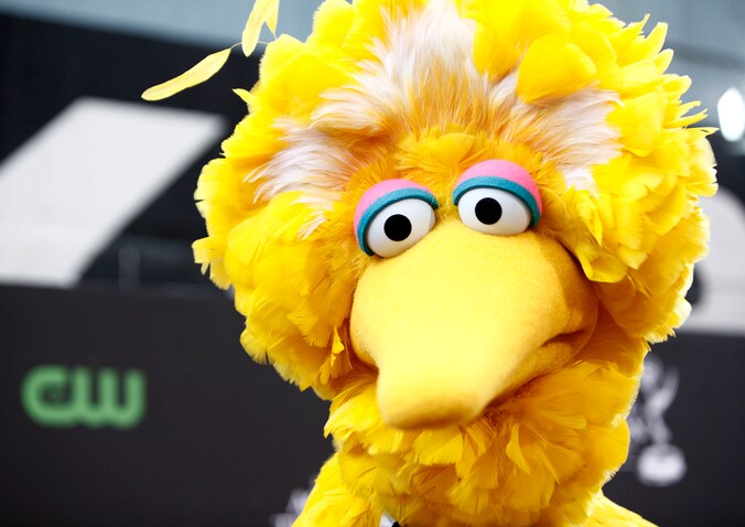 Ook in de Nederlandstalige versie is Pino een van de populairste personages, met zijn enorme poten en zijn enorme hart. Gek genoeg is Pino blauw, terwijl Big Bird geel is.