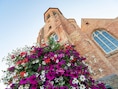 Nu al bloemen bestellen voor kleurrijke straat in 2027 in Brugge