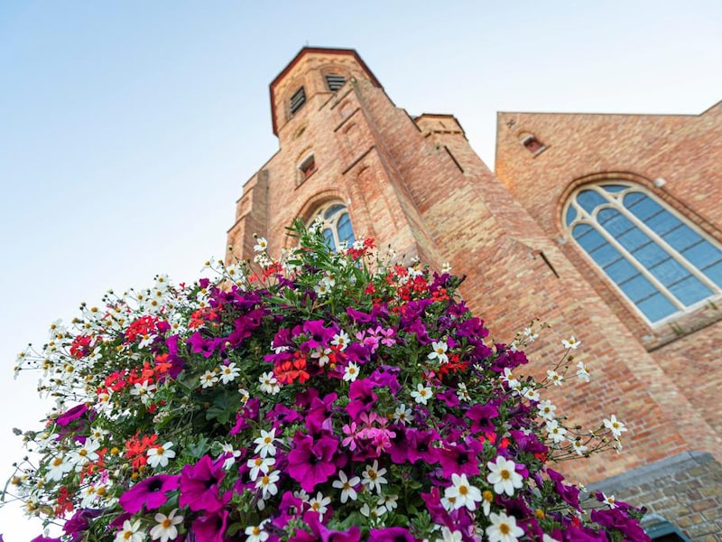 Nu al bloemen bestellen voor kleurrijke straat in 2027 in Brugge