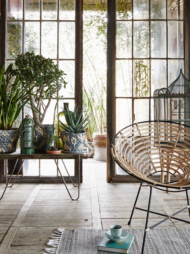 Tover je woonkamer om tot een urban jungle met kamerplanten