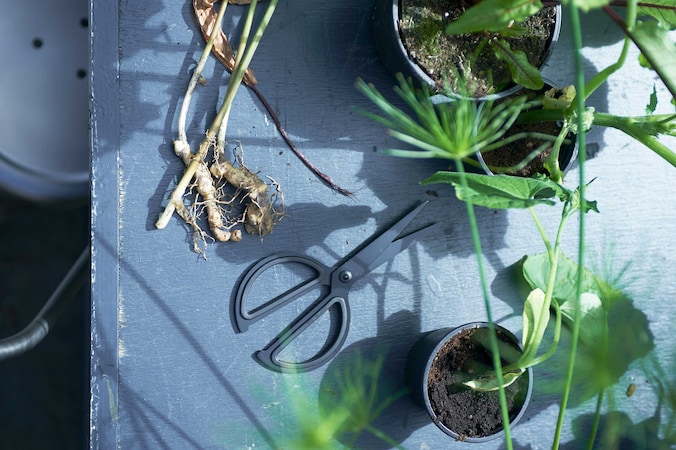 Schep orde in je tuin