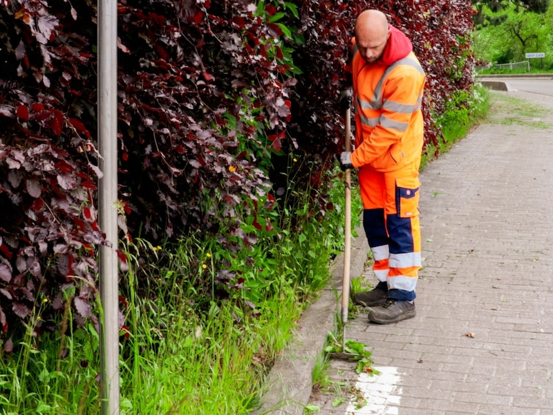 Wuustwezel uitgeroepen tot ambassadeur van de maatwerkbedrijven