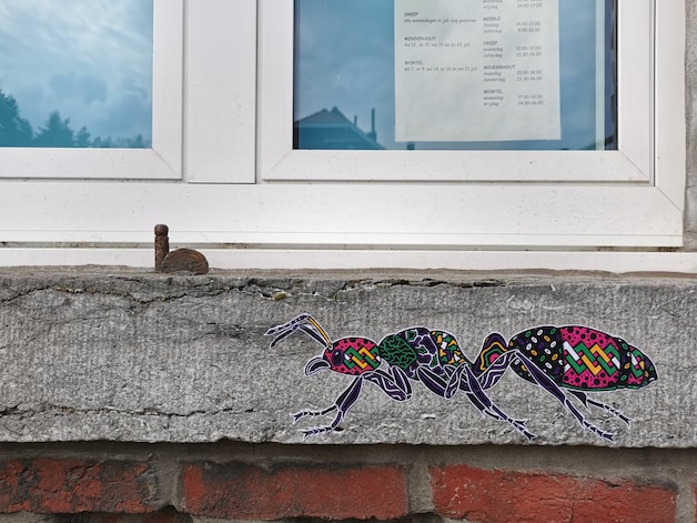 Streetartartiesten vrolijken stad en deelgemeenten op met kleurrijke ...