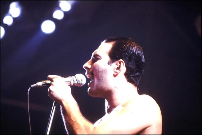 Freddie Mercury