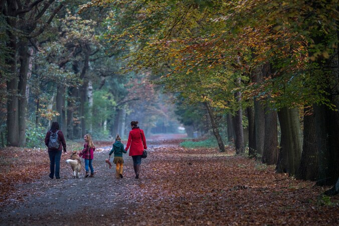 Wandelen aan de abdij in Postel