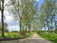 Storm op komst: Denderleeuw sluit bossen en parken vanmiddag tot middernacht