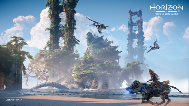 Is dat niet de Golden Gate Bridge, of wat ervan overschiet?