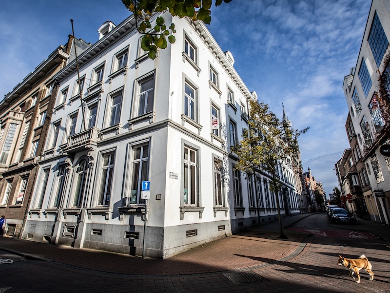Vlaanderen wil gouverneurswoning in Hasselt verkopen, maar wat met de tuin? “Dit is een kans die we misschien nooit meer krijgen”