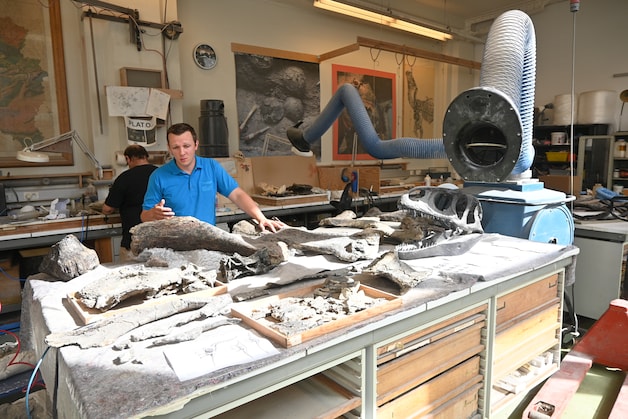 Archiefbeeld: Koen Stein aan het werk in het Natuurwetenschappelijk museum.