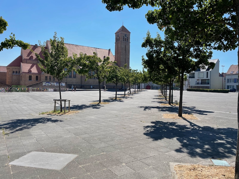 Laat je oude foto's van de Vuurtorenwijk digitaliseren tijdens wijkcafé