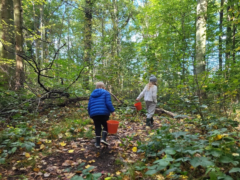 Arboretum en toegangspoort Groenendaal centraal bij Dag van het Zoniënwoud