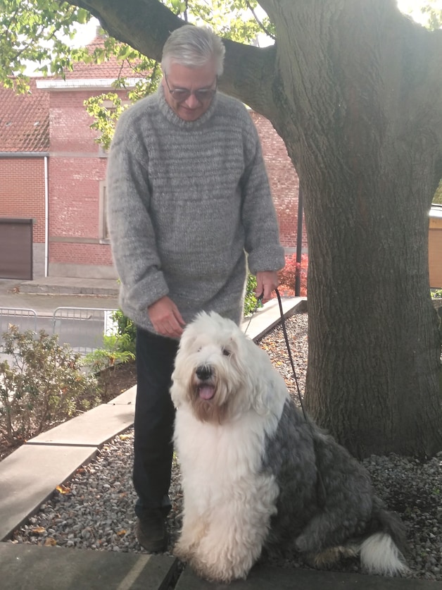 Prins Laurent met een bobtail.