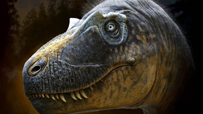 Reconstructie van hoe de nieuwe tyrannosaurus, de Daspletosaurus wilsoni, er zou kunnen hebben uitgezien. 