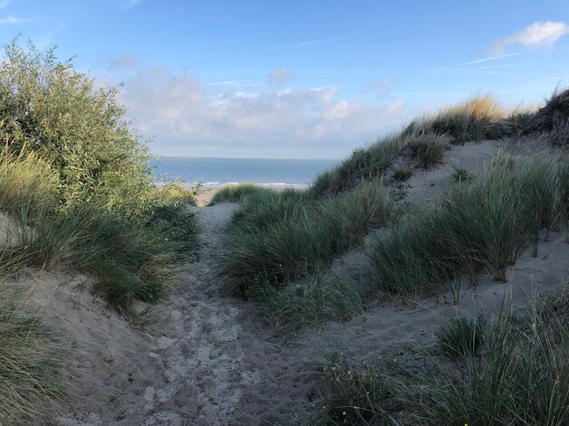 De duinen van Bredene zijn heerlijk om te wandelen.