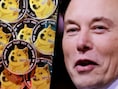 Cryptomunt schiet omhoog nadat Twitter uitpakt met logo van Japanse jachthond