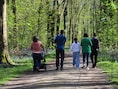 Gratis gezinswandeling op 11 november