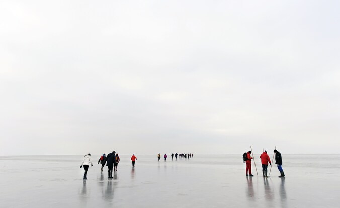 Een wadlooptocht over de bevroren Waddenzee