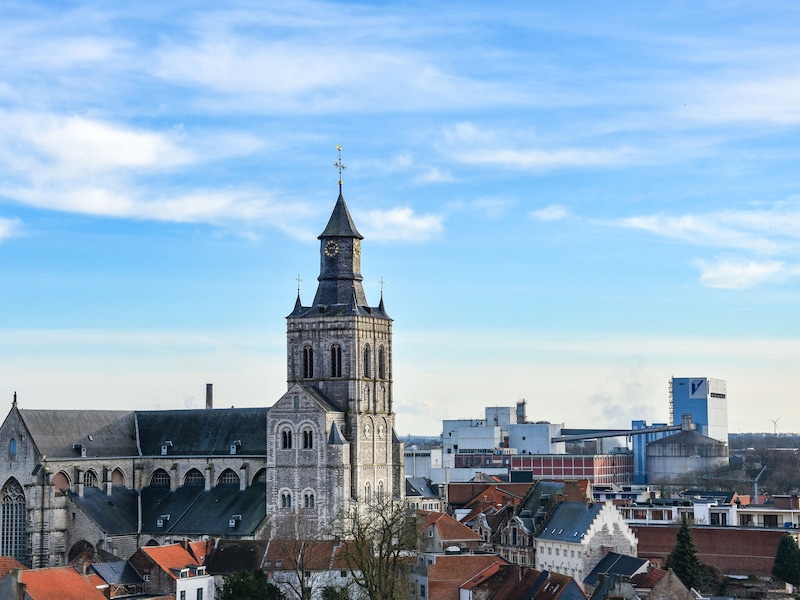 Aarschot, Diest, Scherpenheuvel-Zichem en Tienen starten vanaf 2027 gezamenlijke erfgoedwerking