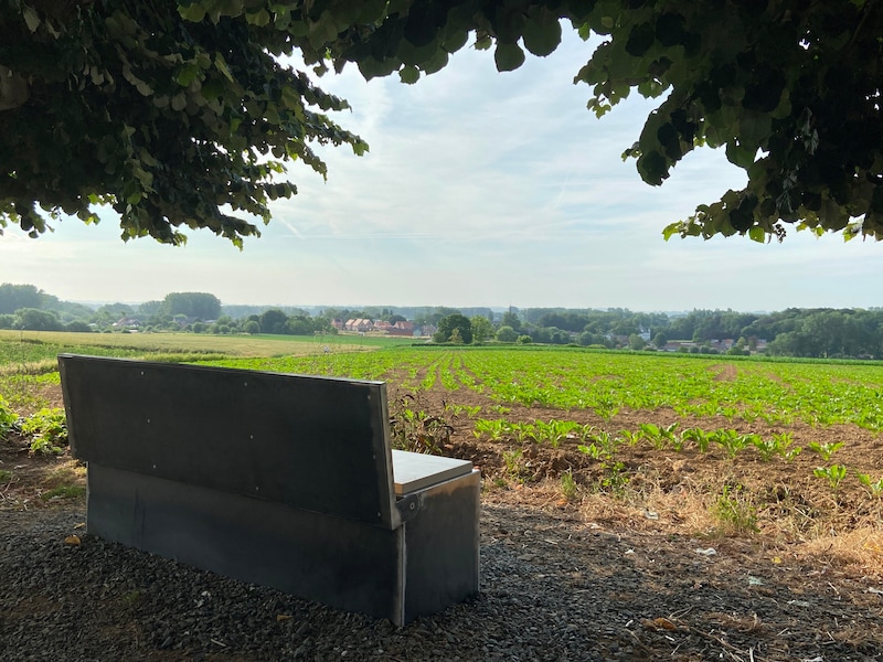Vlaams Belang vraagt zitbanken bij landbouwers: “Om toeristisch potentieel beter te benutten”
