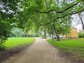 Hinder in en rond Kasteelpark door snoeiwerken