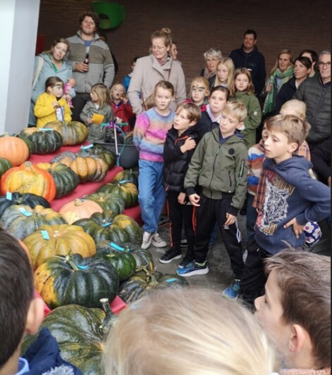 Nand Vandevelde kweekte zwaarste pompoen voor schooltuinfeest.