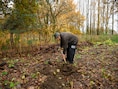 Kunnen voedselbossen onze landbouw veranderen? Food.Film.Fest komt naar ‘t Gasthuis in Wijnegem
