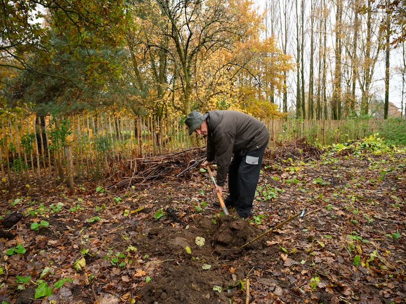 Kunnen voedselbossen onze landbouw veranderen? Food.Film.Fest komt naar ‘t Gasthuis in Wijnegem