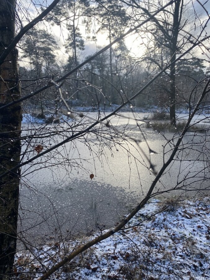 Sneeuw in Balen.