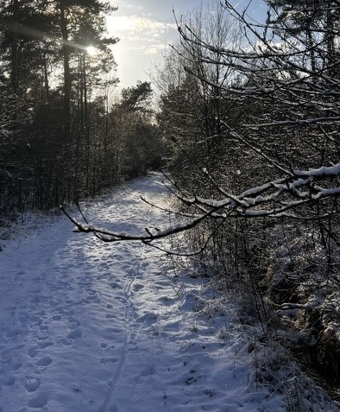 Sneeuw in Gooreind.