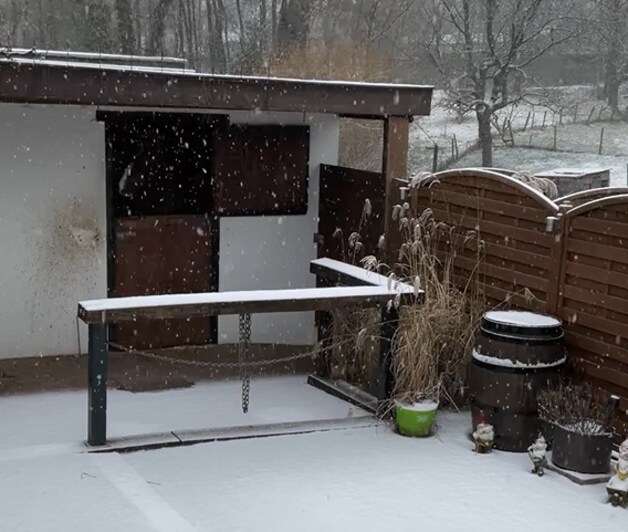 Sneeuw in Dworp.