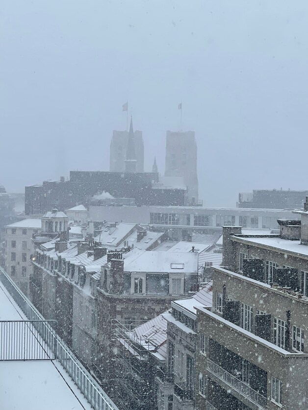 Brussel bedekt onder laagje sneeuw
