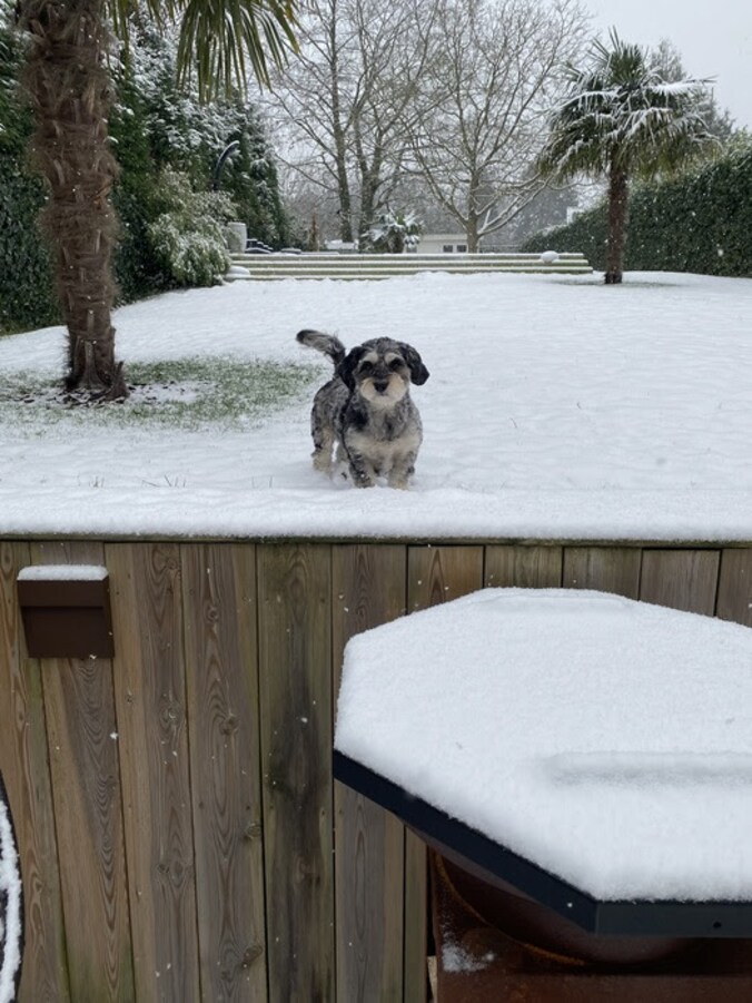 Sneeuw in Sint-Genesius-Rode.
