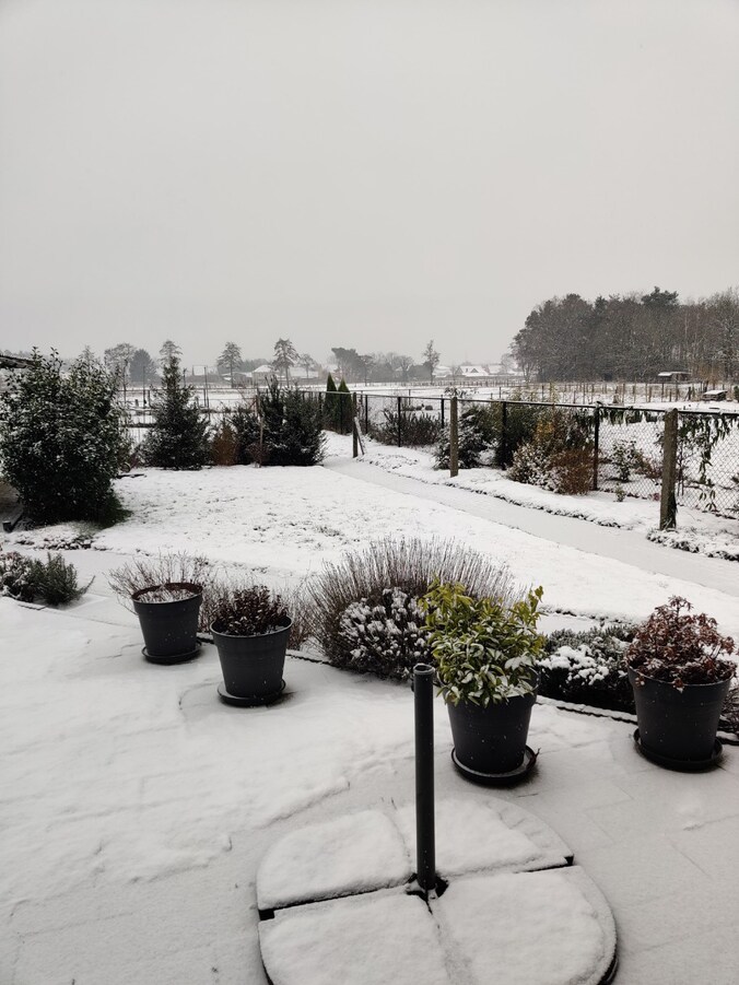 Sneeuw in Mol.