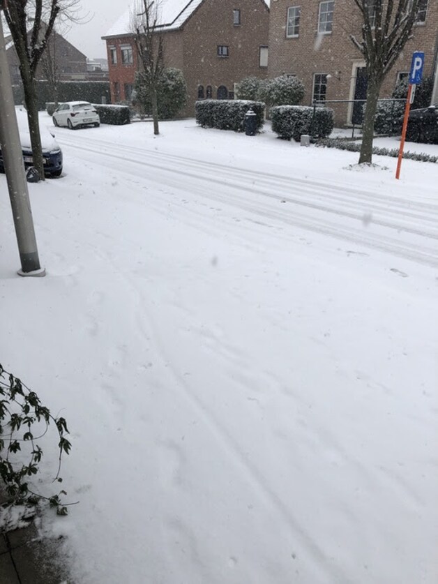 Sneeuw in Hasselt