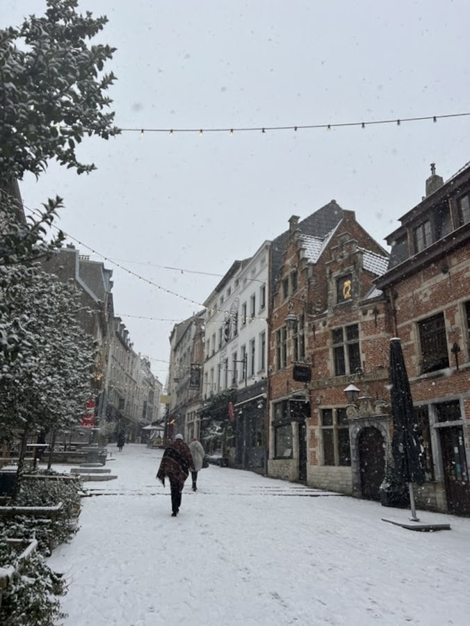 Sneeuw in Brussel