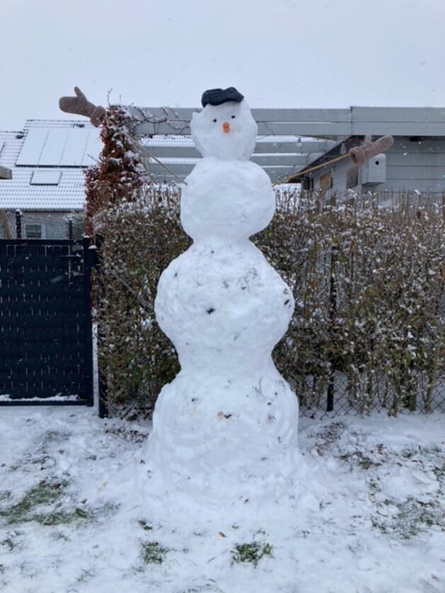 Sneeuw in Avelgem.